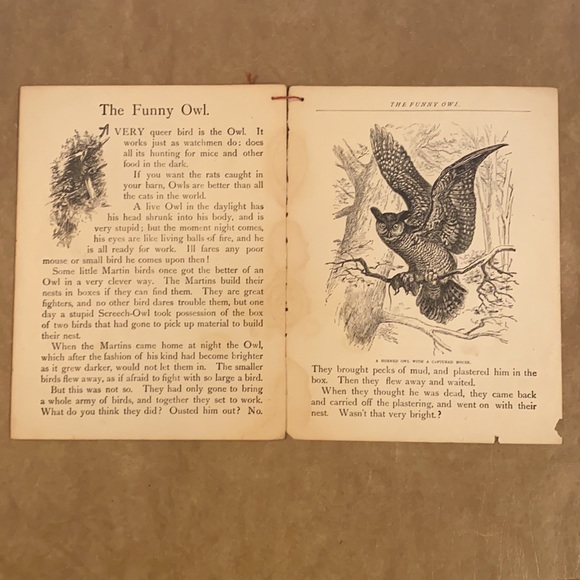 Vintage National Geographic Series - Farmyard and Forest - Picture 3 of 3